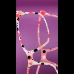 Polka Dots Toppers - Pair wear compatible